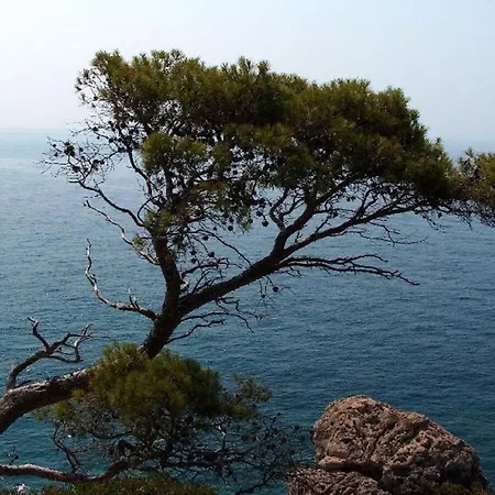 Apartments Var Appartement *